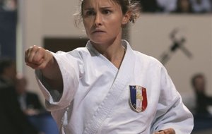 Stage kata aux Sorinières